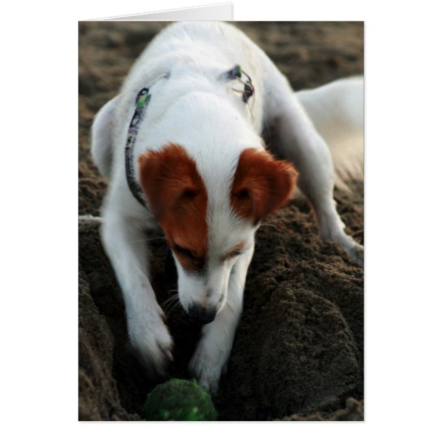 "Hård lek! ", Hälsningskort (Framsidan)