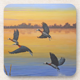 Hård plastUnderlägg Underlägg