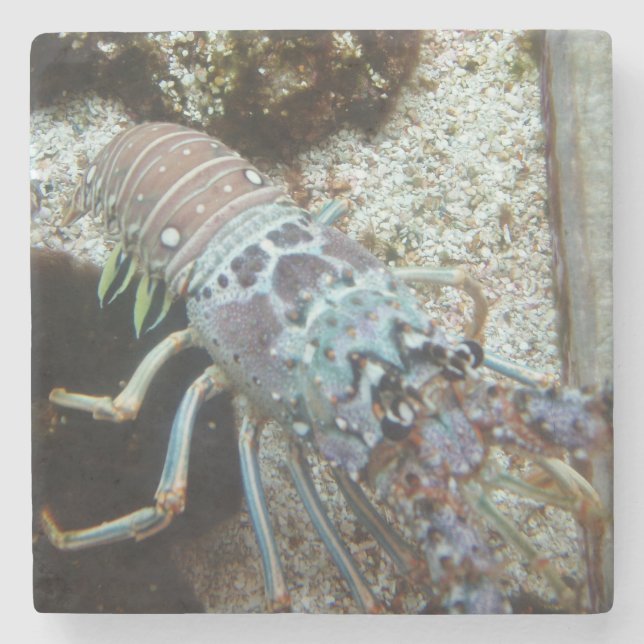 Hård Underlägg sten (Framsidan)