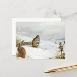 Hårda tider och en hare, Art Birds Helg Vykort