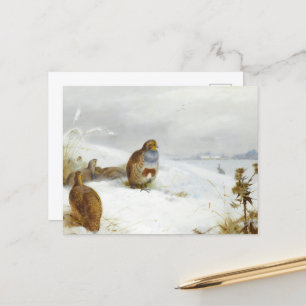Hårda tider och en hare, Art Birds Helg Vykort