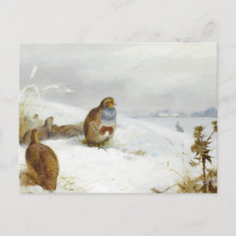 Hårda tider och en hare, Art Birds Helg Vykort