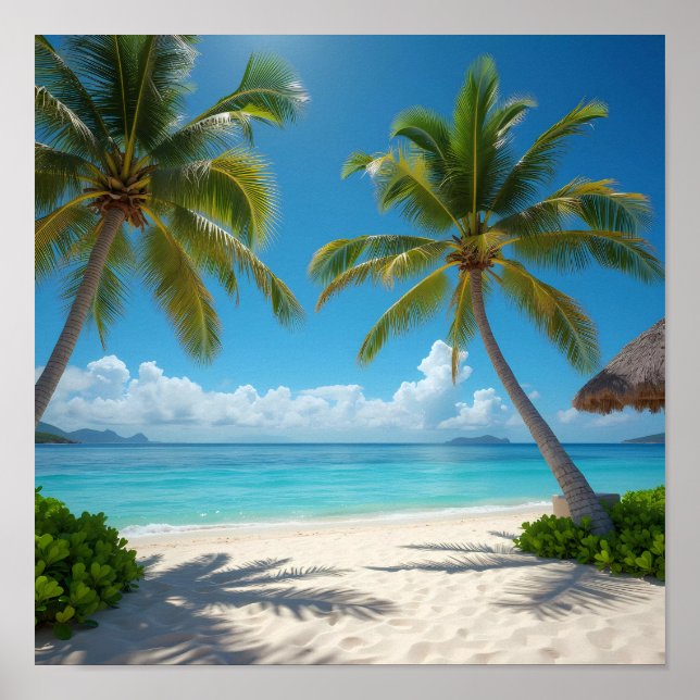 Härdad amerikansk strand poster (Framsidan)