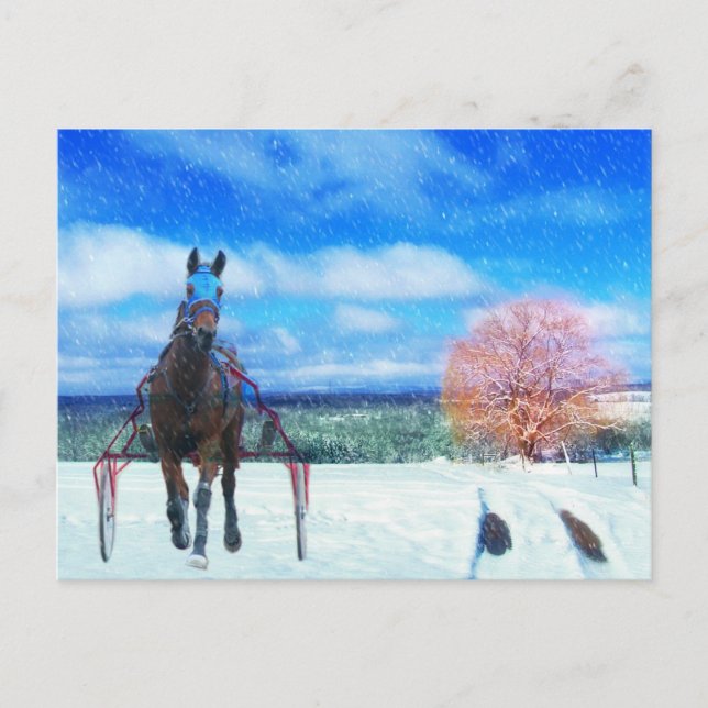 Hårddiskens Tävla Horse Helgdag Card Helg Vykort (Framsida)