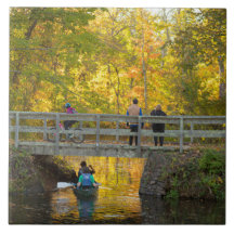 Hårddiskkeramisk panel för hösten-brygga