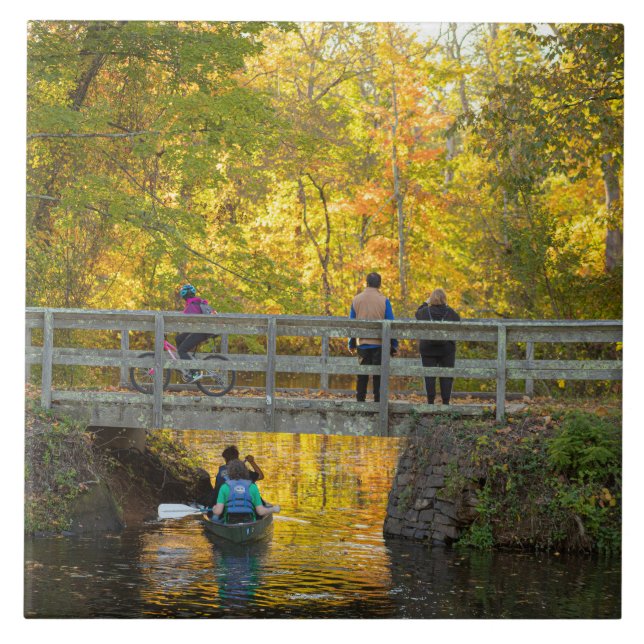 Hårddiskkeramisk panel för hösten-brygga kakelplatta (Framsidan)