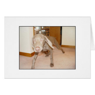 HarDecaf? Hälsningskort