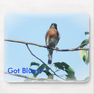 Hardeppighetmusen vadderar musmatta