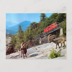 Harder Kulm Funicular Railway, Interlaken Vykort