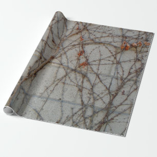 Hårdna kvarterväggen med Vines Presentpapper