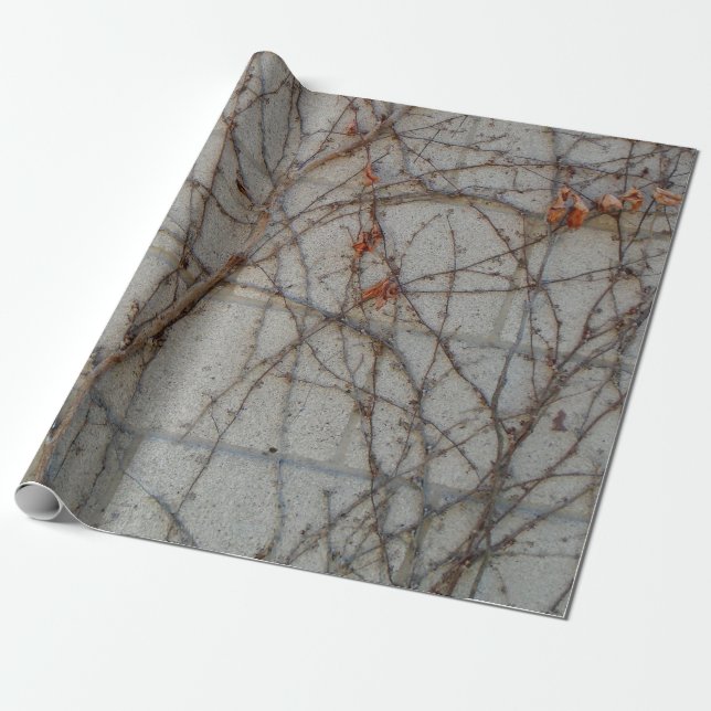 Hårdna kvarterväggen med Vines Presentpapper (Utrullad)