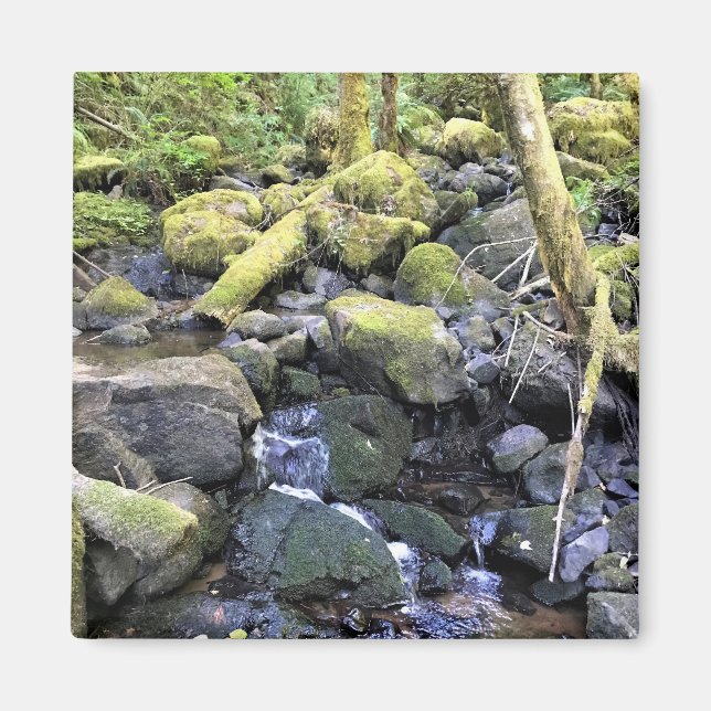 Hardy Bäck, Oregon Magnet (Framsidan)