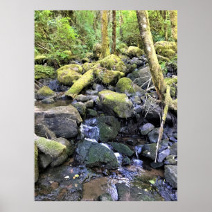 Hardy Bäck, Oregon Poster
