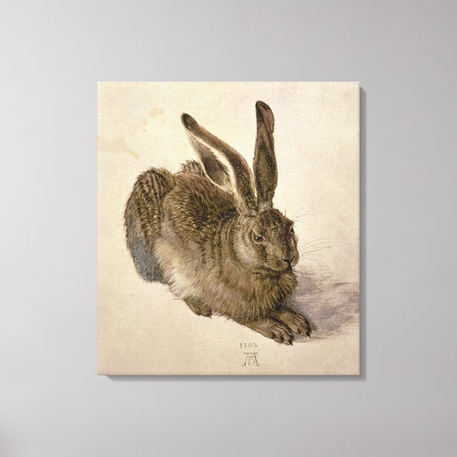 Hare, 1502 canvastryck (Framsida)
