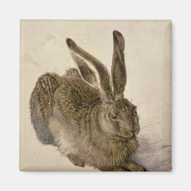 Hare, 1502 magnet (Framsidan)