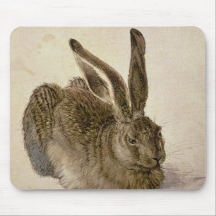 Hare 1502 musmatta