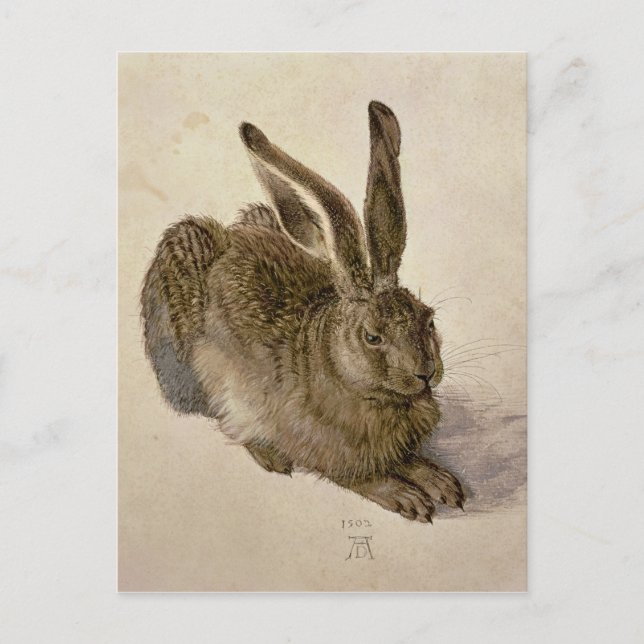 Hare, 1502 vykort (Framsida)