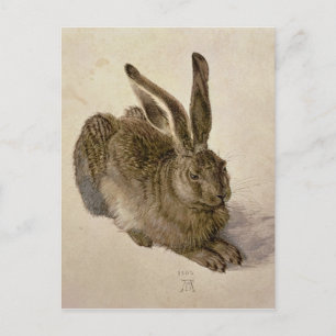 Hare, 1502 vykort