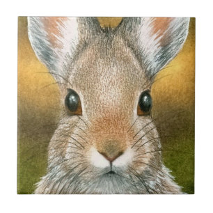 Hare 18 Rabbit Bunny Kakelplatta