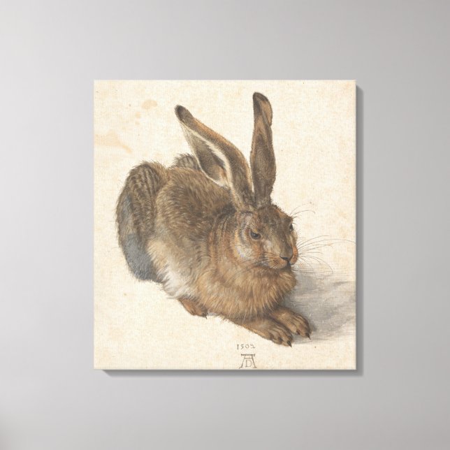 Hare (av Albrecht Dürer) Canvastryck (Framsida)