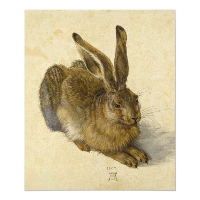 Hare av Albrecht Durer Fototryck (Framsidan)