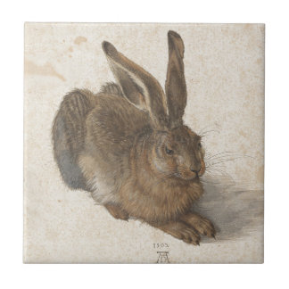 Hare av Albrecht Durer Kakelplatta