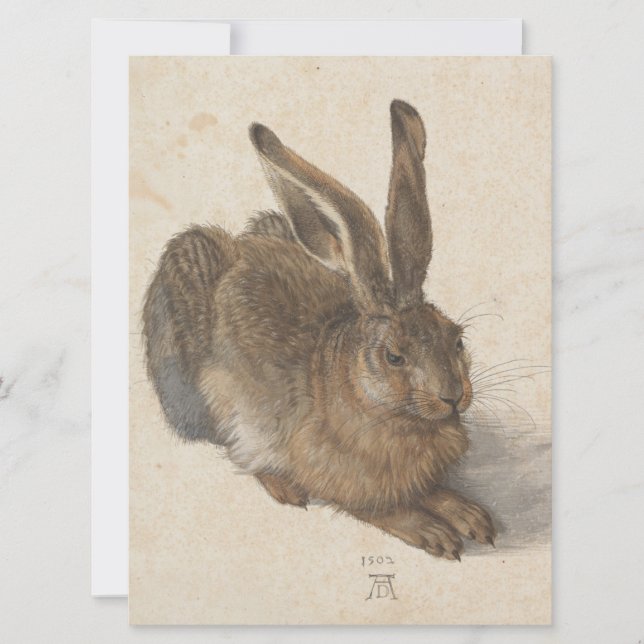 Hare (av Albrecht Dürer) Kort (Framsida)