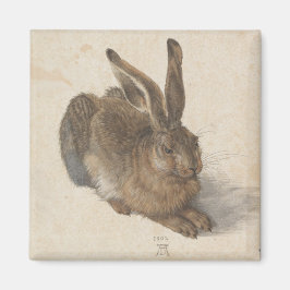 Hare (av Albrecht Dürer) Magnet