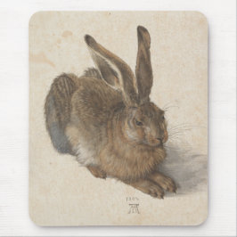 Hare (av Albrecht Dürer) Musmatta