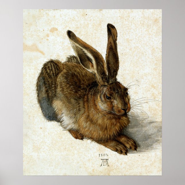 Hare av Albrecht Dürer Poster (Framsidan)