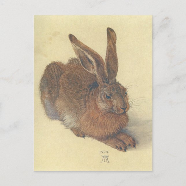 Hare av Albrecht Durer Vykort (Framsida)