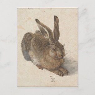 Hare av Albrecht Durer Vykort