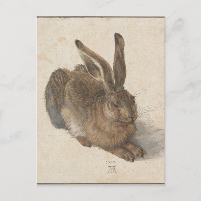 Hare av Albrecht Durer Vykort (Framsida)