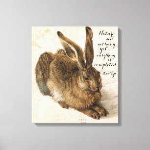 Hare efter tillverkare med natursoffert 17 x 19 tu canvastryck