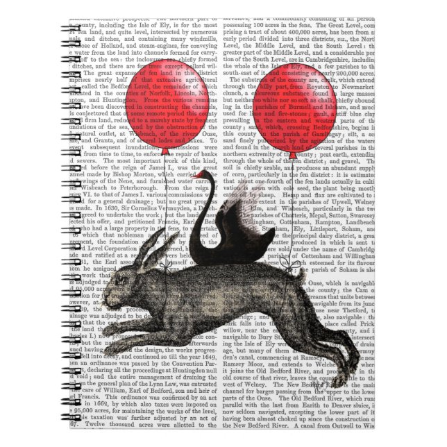Hare-Frakten Anteckningsbok Med Spiral (Framsidan)