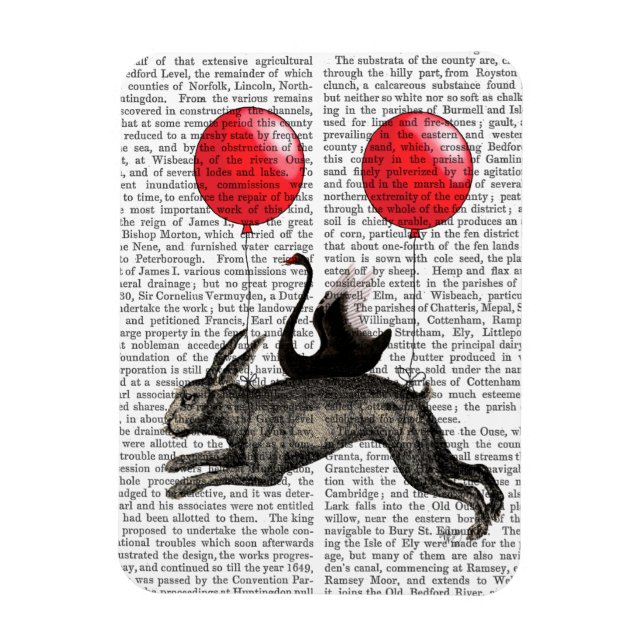 Hare-Frakten Magnet (Vertikal)