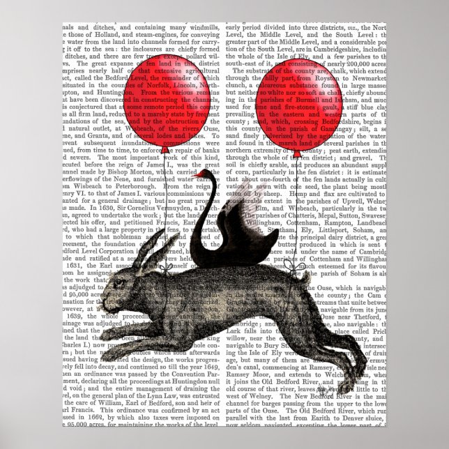 Hare-Frakten Poster (Framsidan)