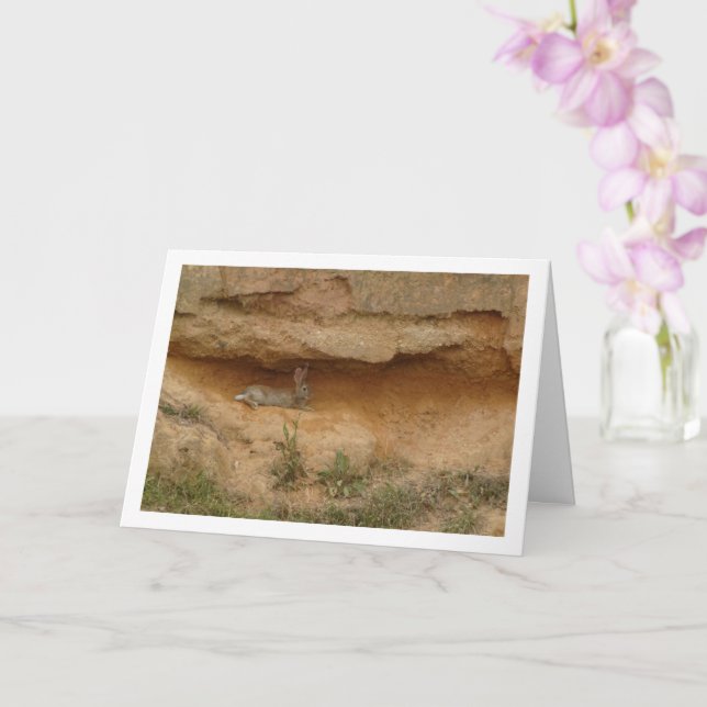 Hare i Canyon Cave Card Kort (Orkide)