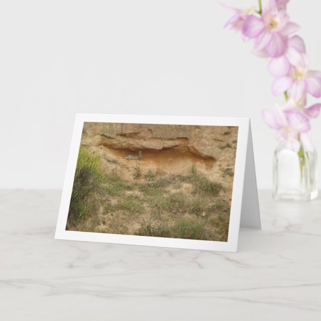 Hare i Canyon Cave Kort (Orkide)