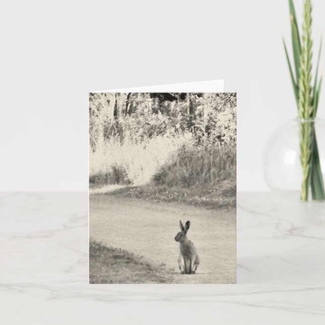 Hare i dag kort (Framsida)