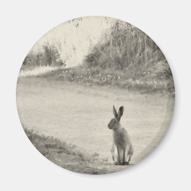 Hare idag magnet (Framsidan)