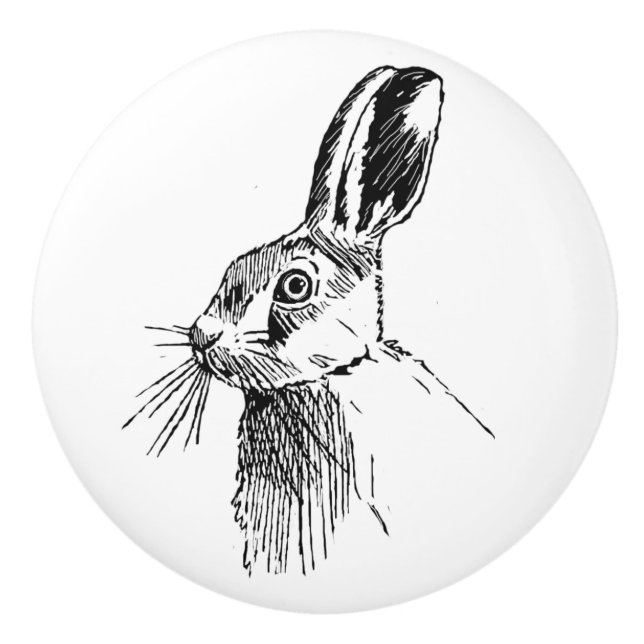 Hare illustrerad knopp (Framsidan)
