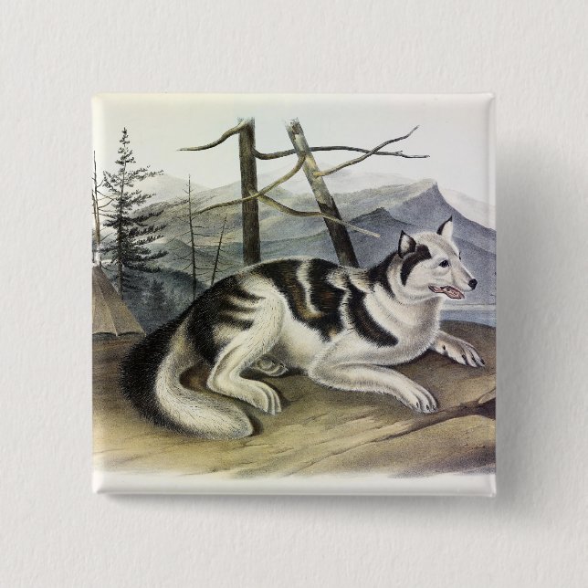 Hare-indiska Hund (Mackenzie River Hund) från Audu Knapp (Framsida)