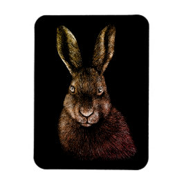 Hare, kanin, teckning magnet