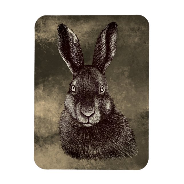 Hare, kanin, teckning magnet (Vertikal)