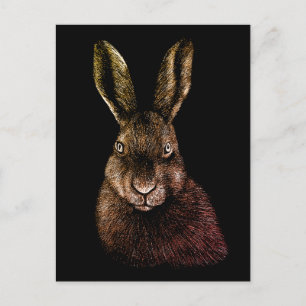 Hare, kanin, teckning vykort