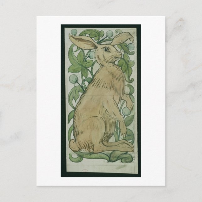 Hare (pappert/vikt) vykort (Framsida)