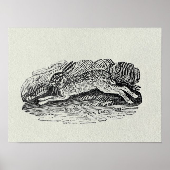 Hare Poster (Framsidan)