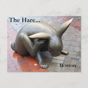 Hare... Vykort