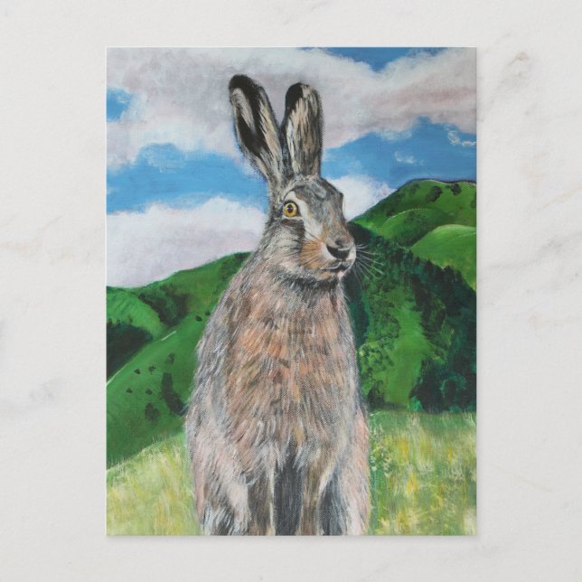 Hare Vykort (Framsida)
